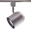Par 20 Brushed Steel Track Lighting Fixture by Designers Choice Collection