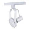 Par 30 White Gimbal Ring Track Lighting Fixture by Designers Choice Collection
