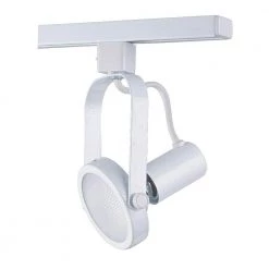 Par 30 White Gimbal Ring Track Lighting Fixture by Designers Choice Collection