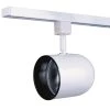 Par 30 White Track Lighting Fixture by Designers Choice Collection